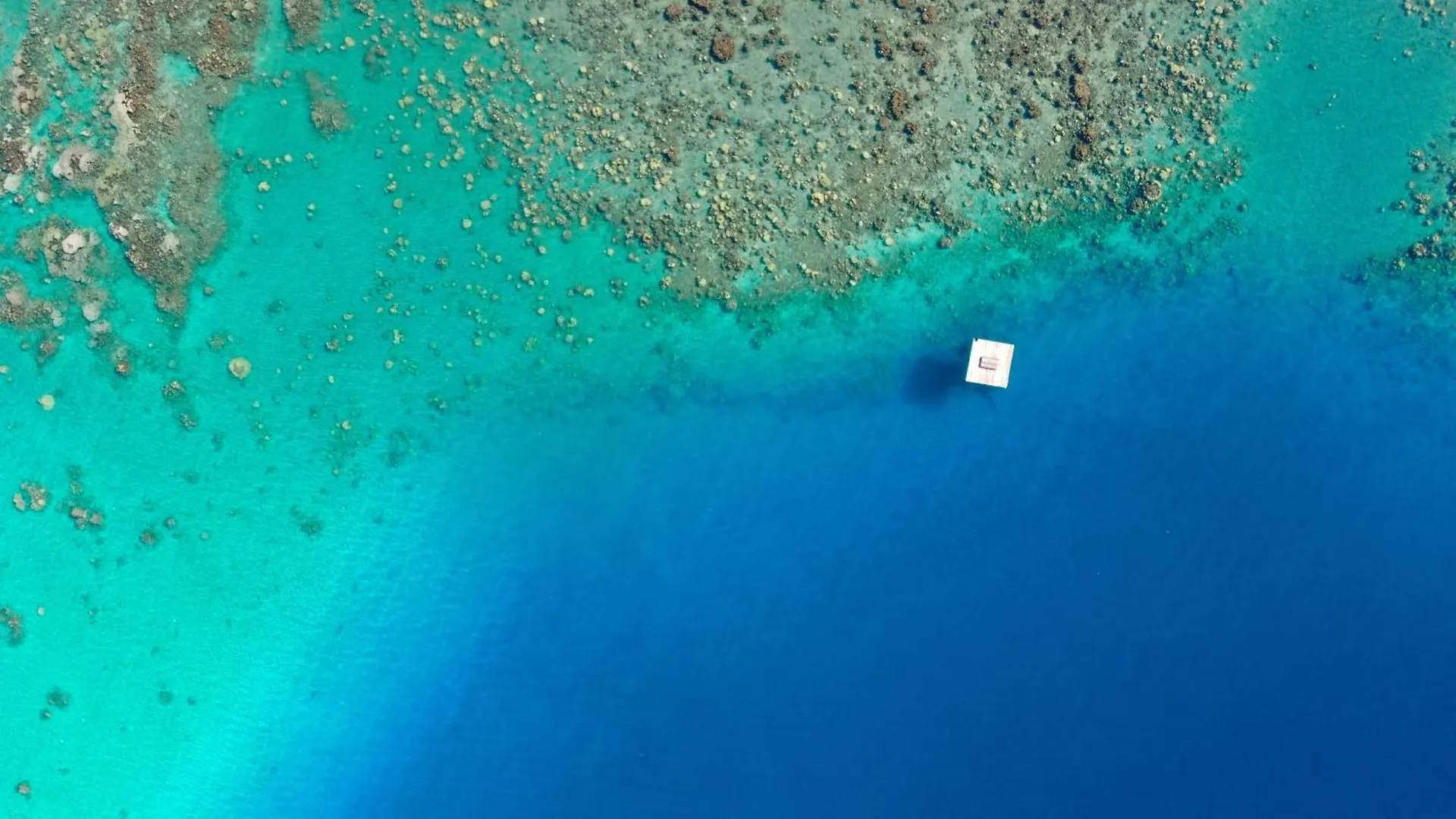 Tahiti-Bungalow At Teahupoo: Beachfront With Pountoon And Mini Pool