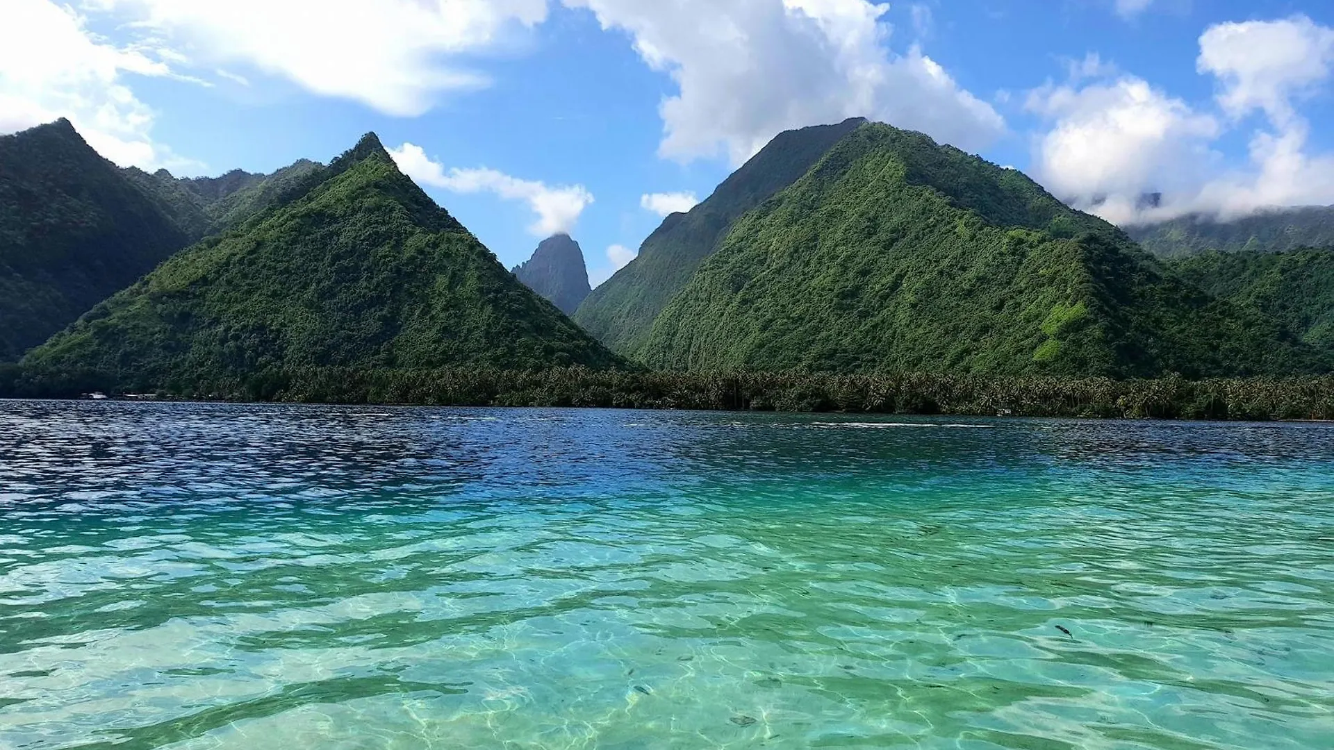 Tahiti-Bungalow At Teahupoo: Beachfront With Pountoon And Mini Pool